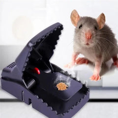 Mouse Trap Plastic